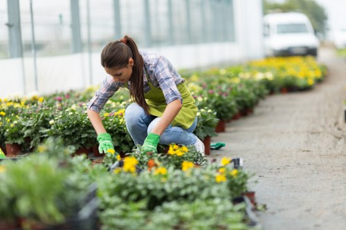 A woman working in an outdoor garden space, planting and tending to potted flowering plants along a paved pathway within a greenhouse environment. She is wearing a blue plaid shirt, green gardening gloves, and a yellow apron, kneeling on the ground as she carefully handles the plants. The garden features a long row of vibrant, flowering containers with yellow and purple blooms, set against a background of glass walls and structural supports typical of a greenhouse. The surrounding area includes neatly maintained soil beds, and the garden layout emphasizes the organized, cultivated nature of the outdoor space. Natural daylight filters through the greenhouse glass, illuminating the scene and highlighting the diversity of plant colours and green foliage, aligned with professional garden maintenance services in Marylebone and the surrounding London area.