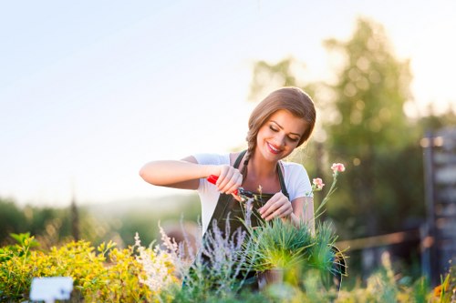 Professionals trimming hedges in a Marylebone garden