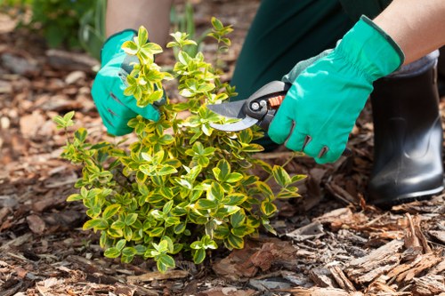 Professional landscaper mowing a Marylebone garden