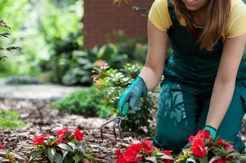 Worker wearing PPE while trimming a hedge