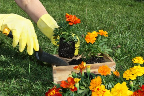Tools used for garden clearance in Marylebone
