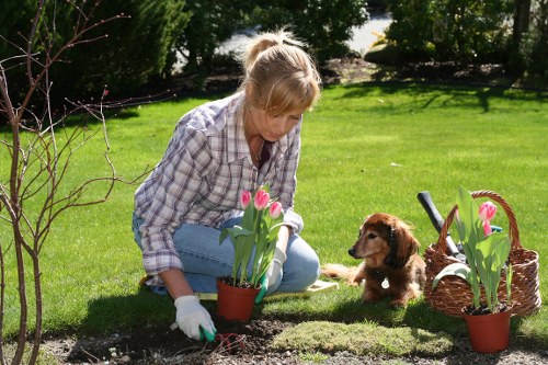 Professional landscaper designing a garden in Marylebone