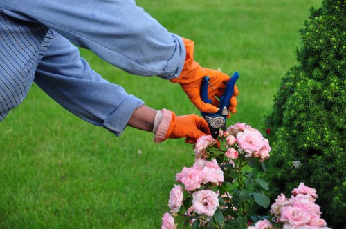 Community worker performing hedge maintenance in Marylebone