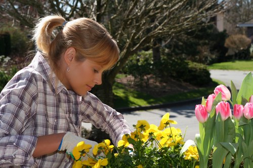 Eco-friendly lawn mowing practices in Marylebone