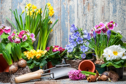 A variety of garden flowers including yellow daffodils, pink primroses, purple pansies, and white primroses are arranged in pots and baskets against a weathered wooden garden fence. The flowers display vibrant colours, with some in full bloom and others budding, set on a rustic wooden surface. Gardening tools such as a hand trowel and a small fork are placed among the plants, alongside some bulbs and soil, indicating ongoing planting and garden maintenance activities. The scene captures a well-tended outdoor space with natural light, suitable for gardening services focused on plant care, hedge trimming, and landscape improvement in Marylebone, with a subtle connection to local garden aesthetics and seasonal planting work.
