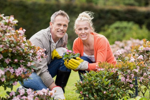 Professional garden clearance team at work